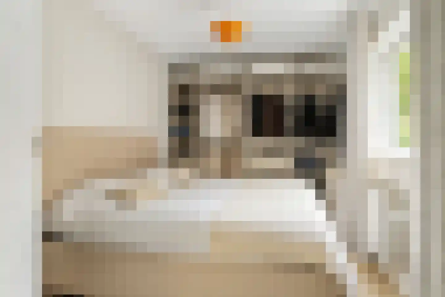 Eduard Verkadelaan 117 Utrecht thumbnail 20