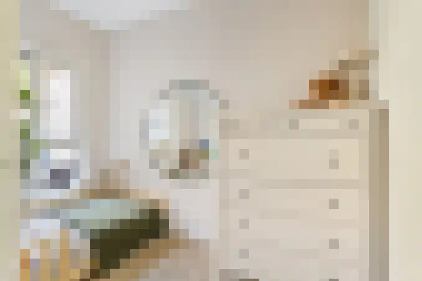 Eduard Verkadelaan 117 Utrecht thumbnail 26