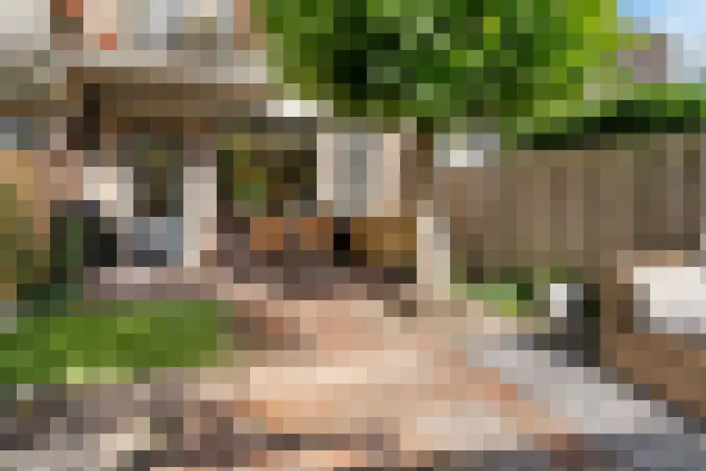 Eduard Verkadelaan 117 Utrecht thumbnail 27