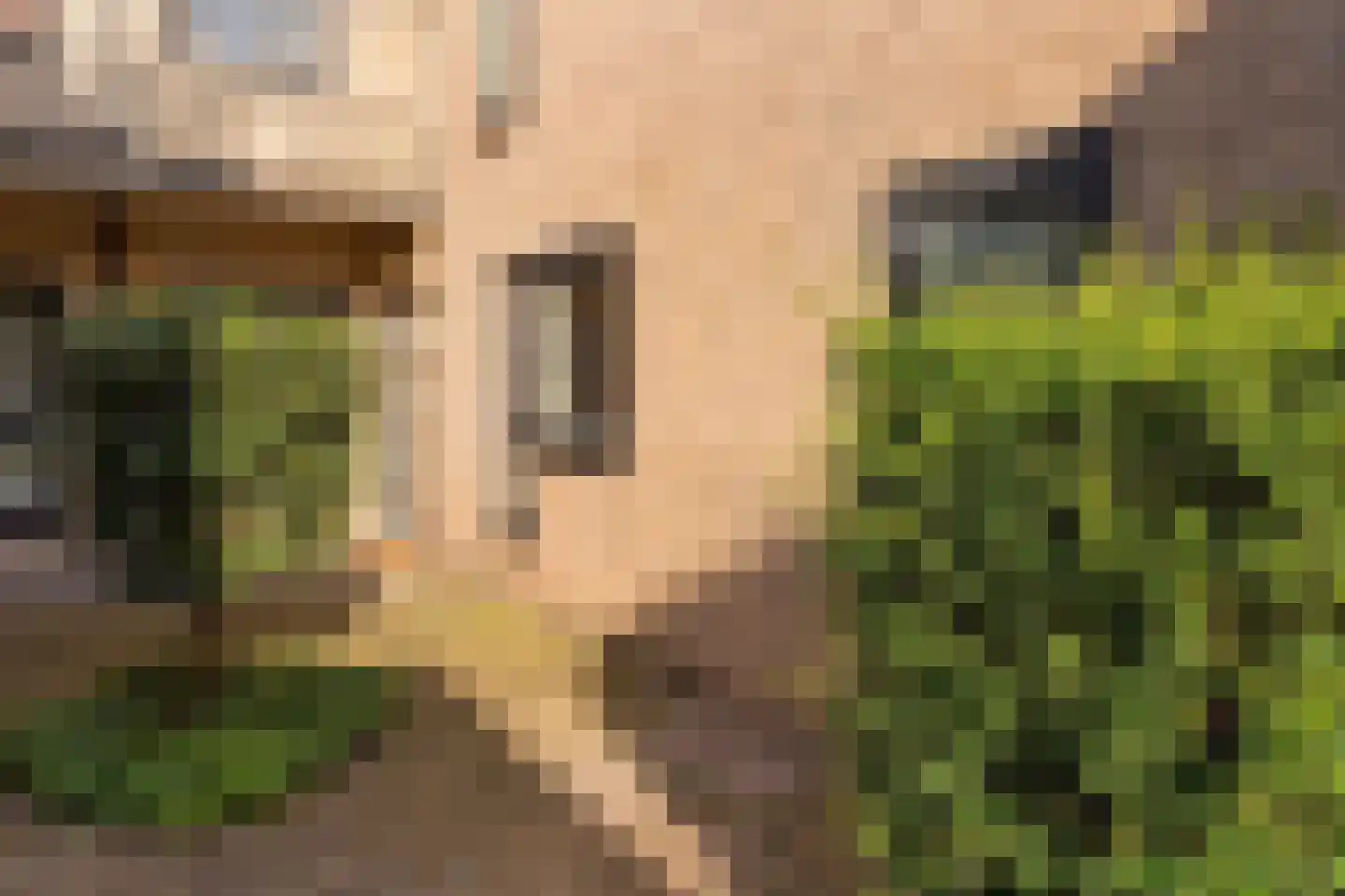 Eduard Verkadelaan 117 Utrecht thumbnail 6
