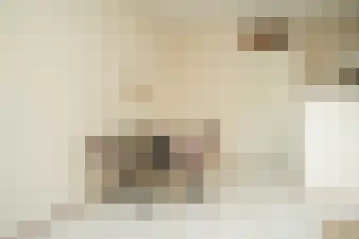 Eduard Verkadelaan 151 Utrecht thumbnail 10