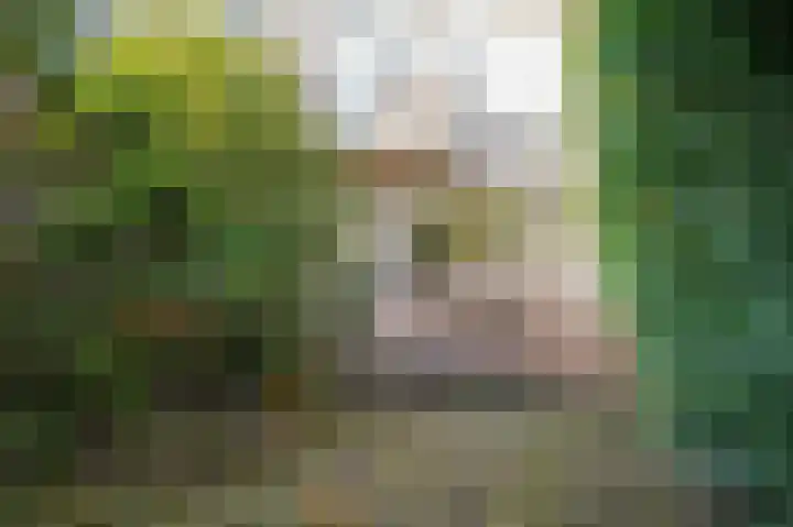 Eduard Verkadelaan 151 Utrecht thumbnail 25
