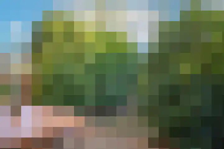 Eduard Verkadelaan 151 Utrecht thumbnail 30
