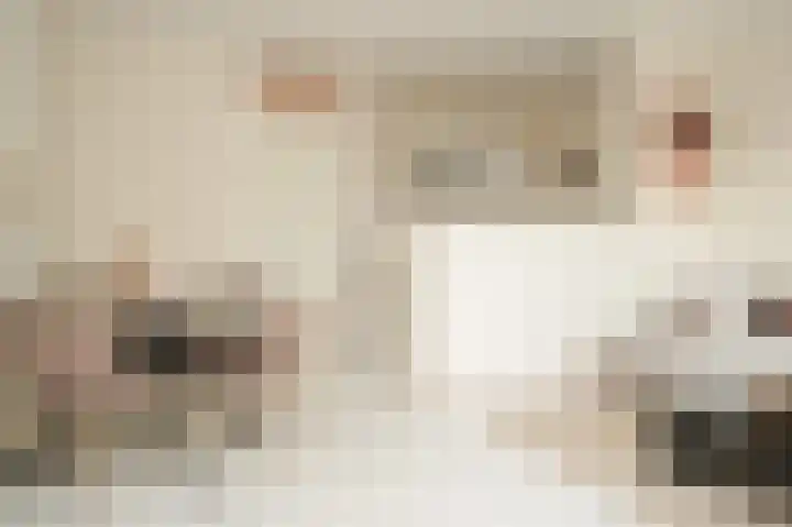 Eduard Verkadelaan 151 Utrecht thumbnail 4