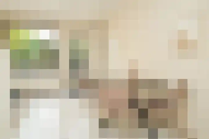 Eduard Verkadelaan 151 Utrecht thumbnail 9