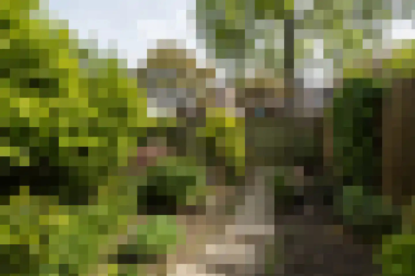 Eduard Verkadelaan 37 Utrecht thumbnail 23