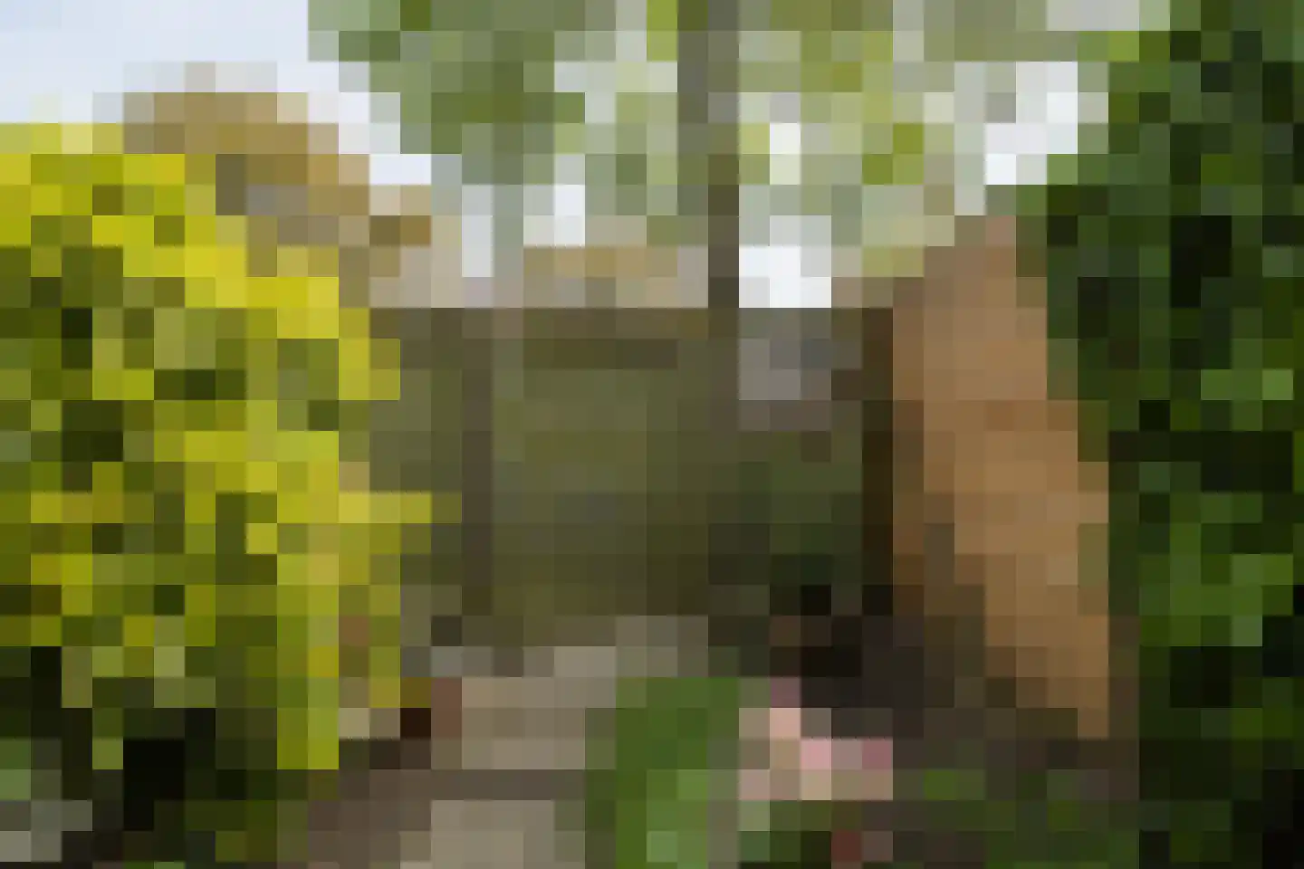 Eduard Verkadelaan 37 Utrecht thumbnail 24