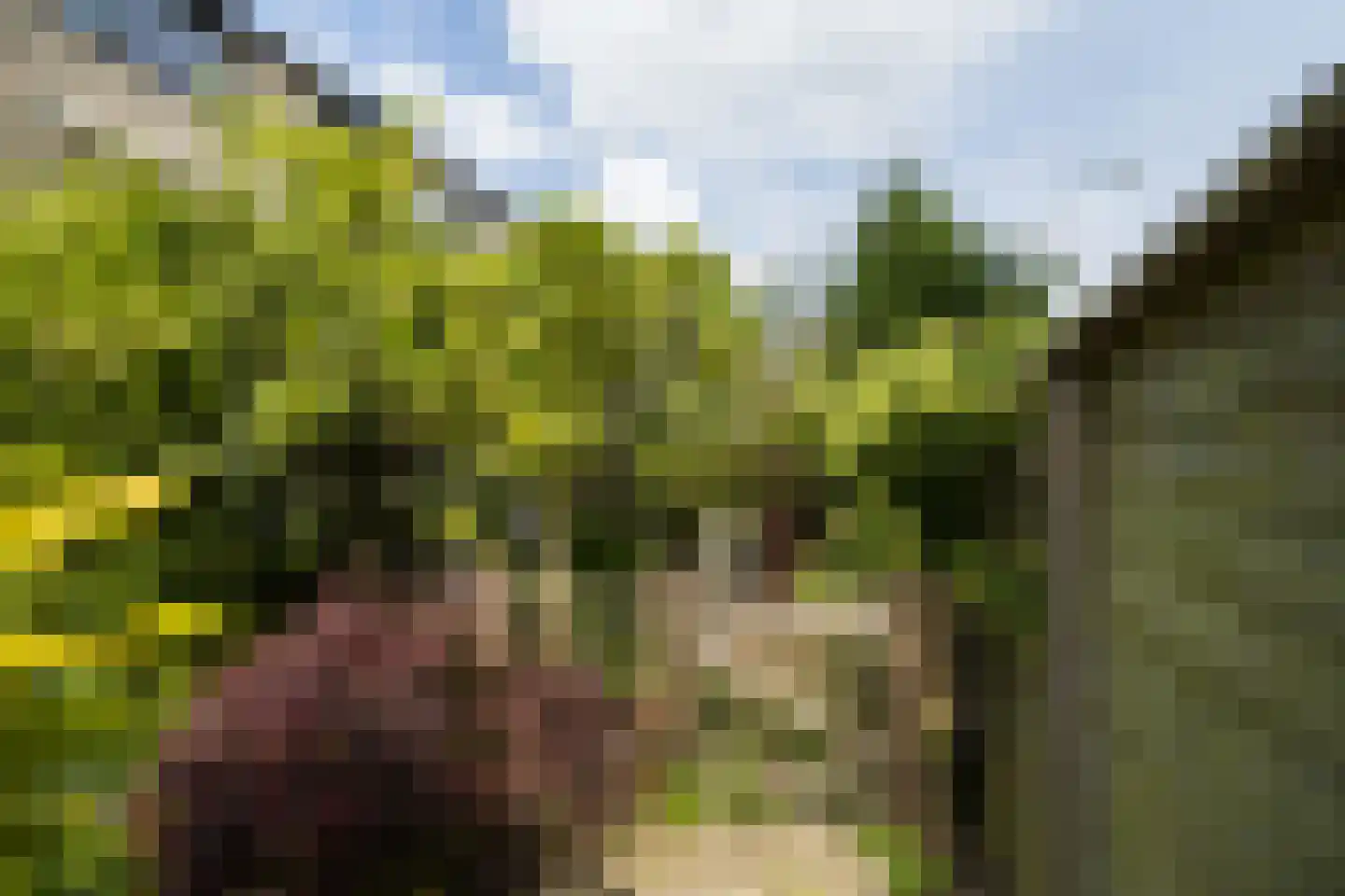 Eduard Verkadelaan 37 Utrecht thumbnail 25