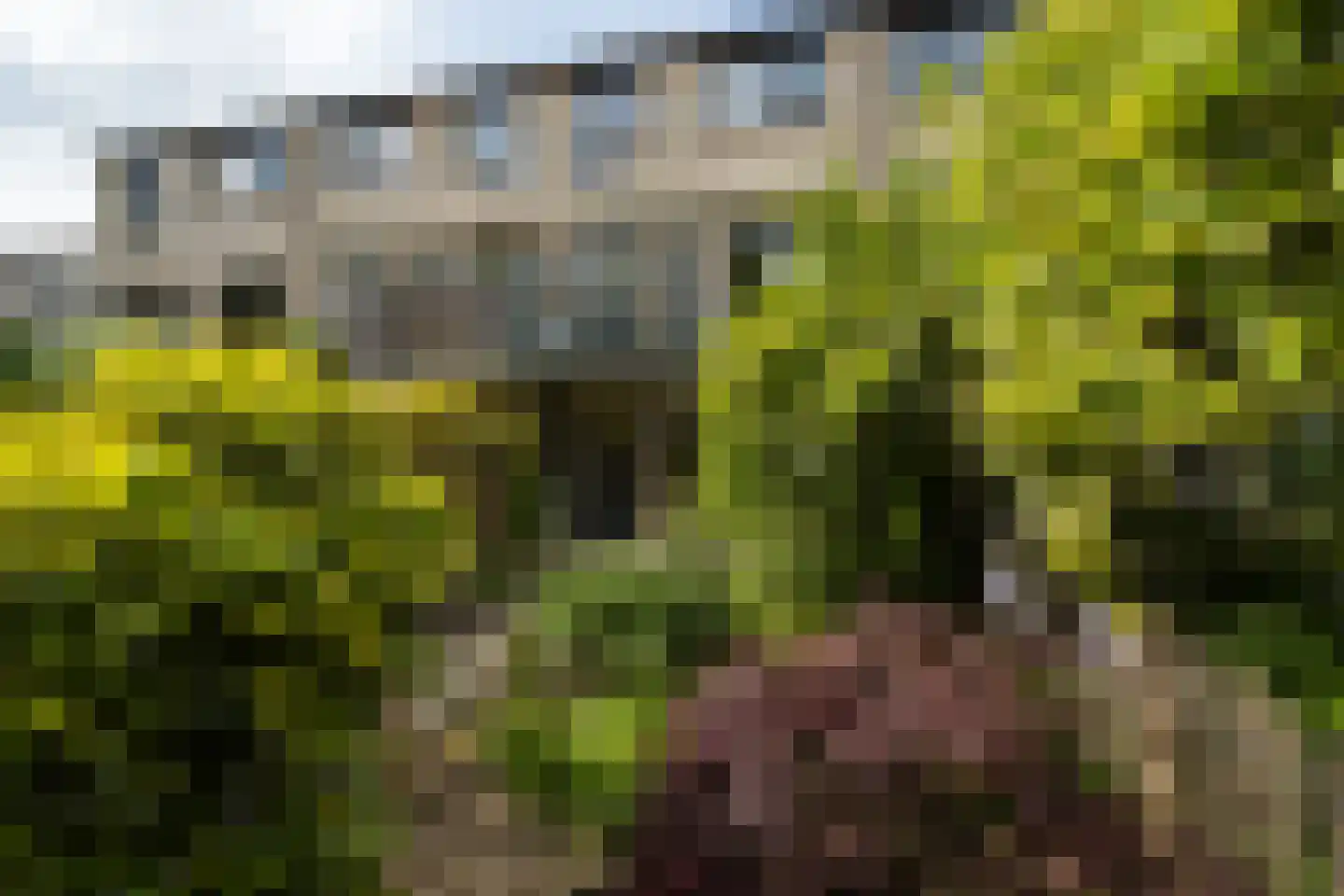 Eduard Verkadelaan 37 Utrecht thumbnail 26