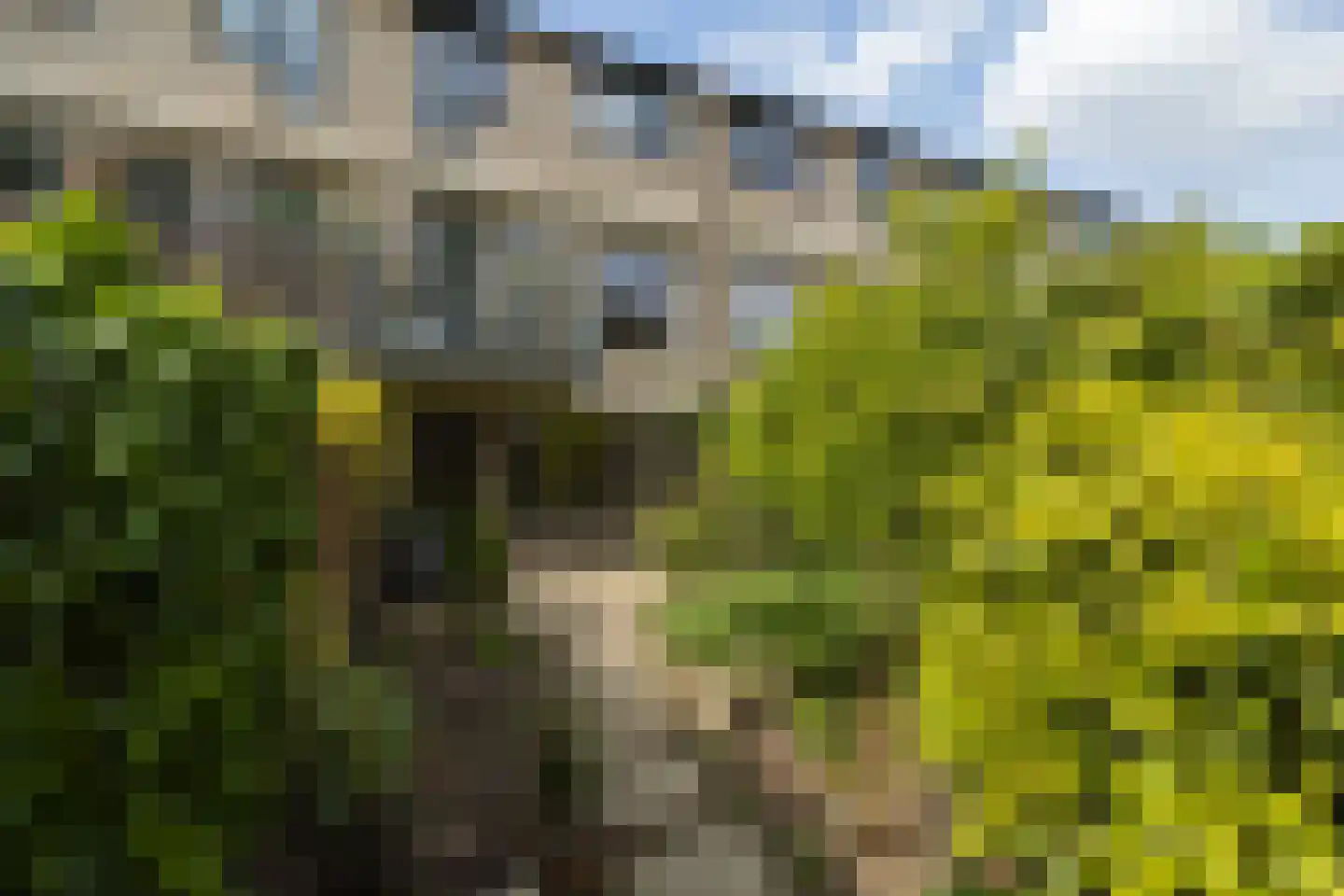 Eduard Verkadelaan 37 Utrecht thumbnail 28