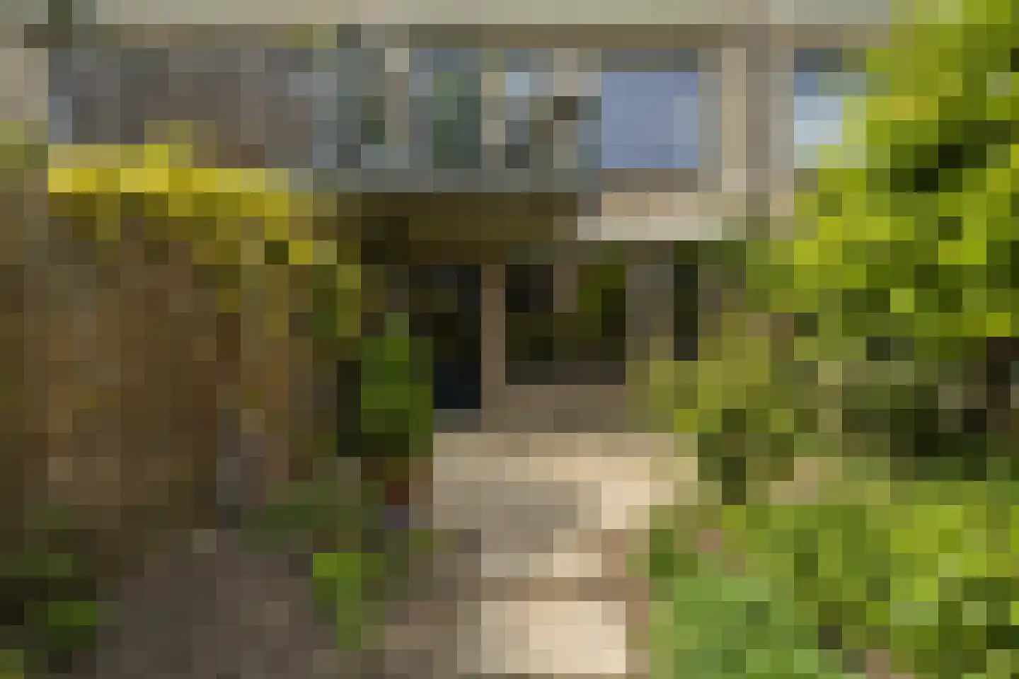 Eduard Verkadelaan 37 Utrecht thumbnail 29