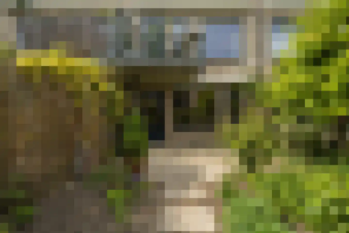 Eduard Verkadelaan 37 Utrecht thumbnail 29