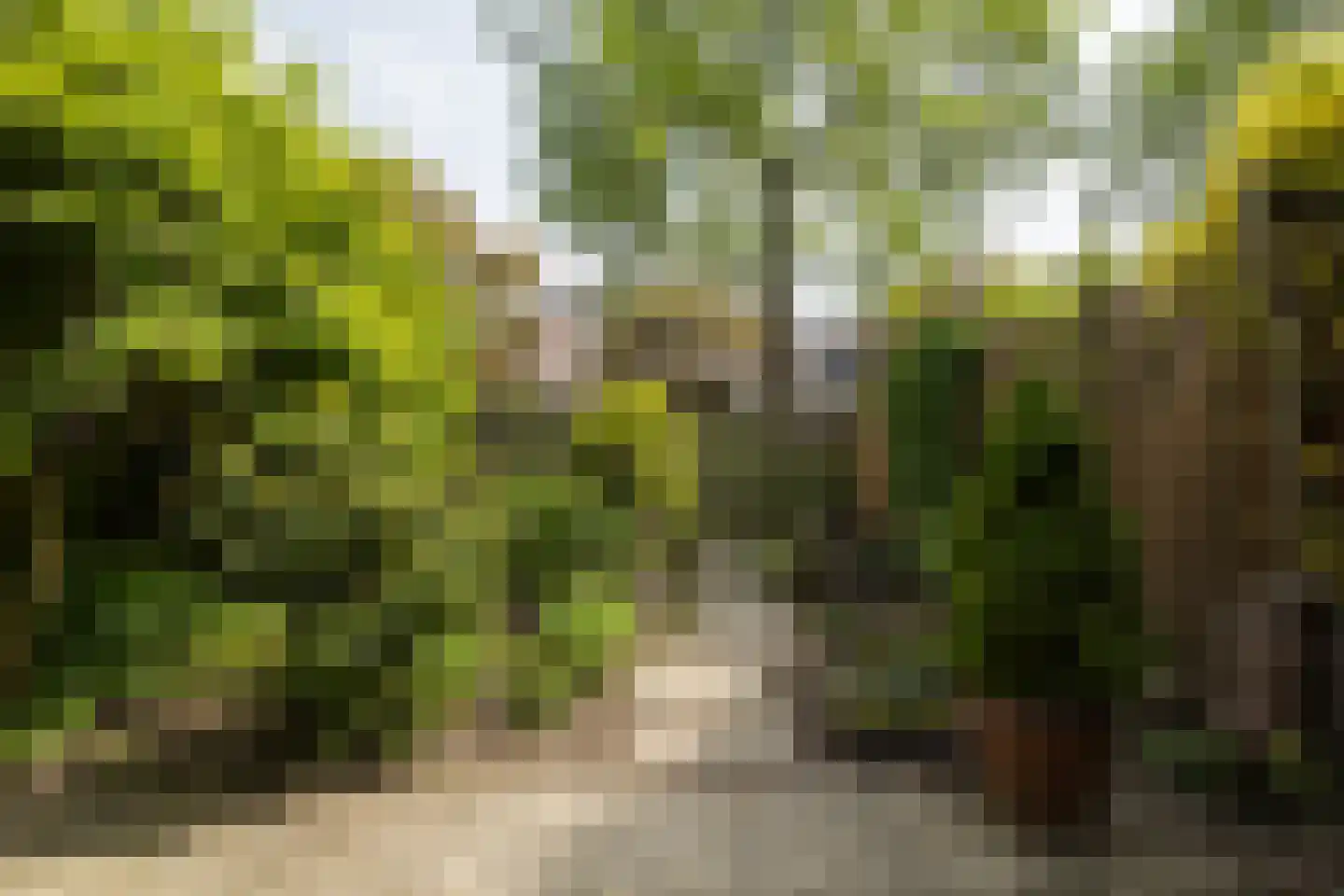 Eduard Verkadelaan 37 Utrecht thumbnail 30