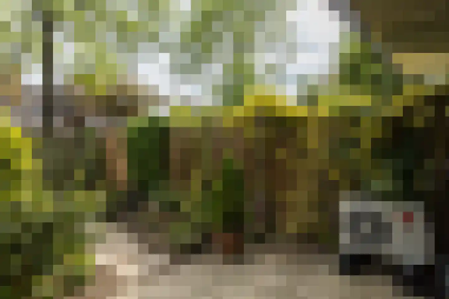 Eduard Verkadelaan 37 Utrecht thumbnail 31
