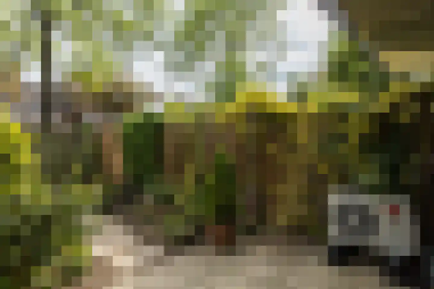 Eduard Verkadelaan 37 Utrecht thumbnail 31