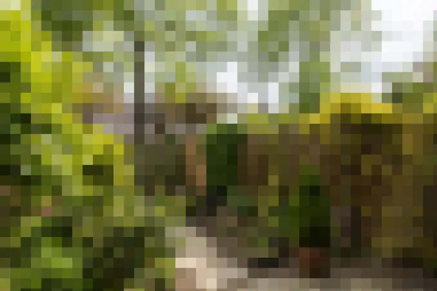 Eduard Verkadelaan 37 Utrecht thumbnail 32