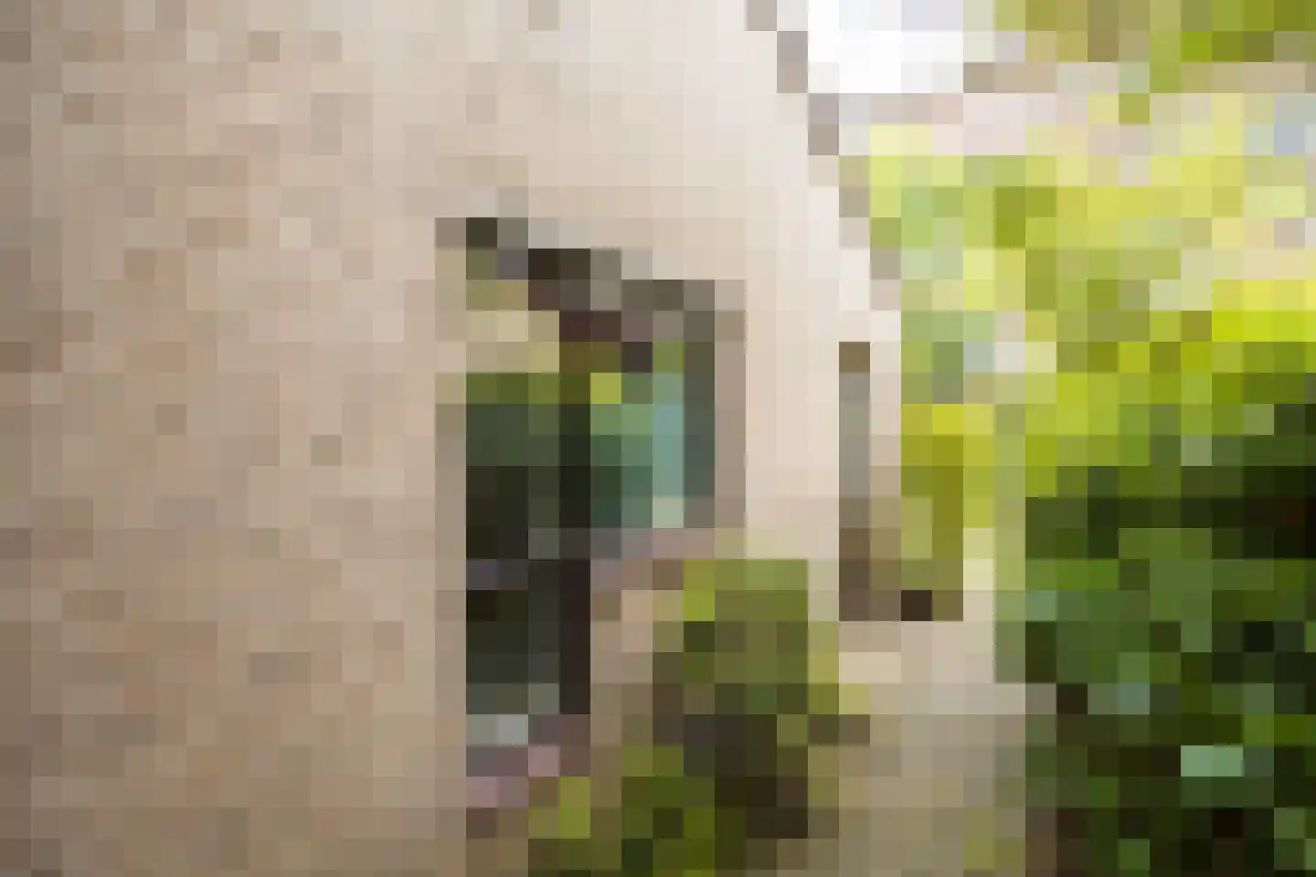 Eduard Verkadelaan 37 Utrecht thumbnail 47