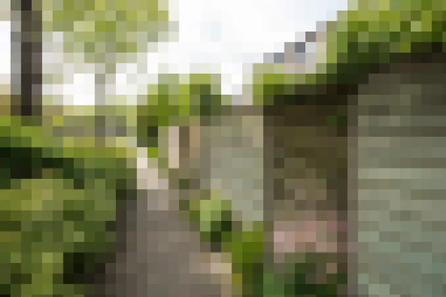 Eduard Verkadelaan 37 Utrecht thumbnail 52