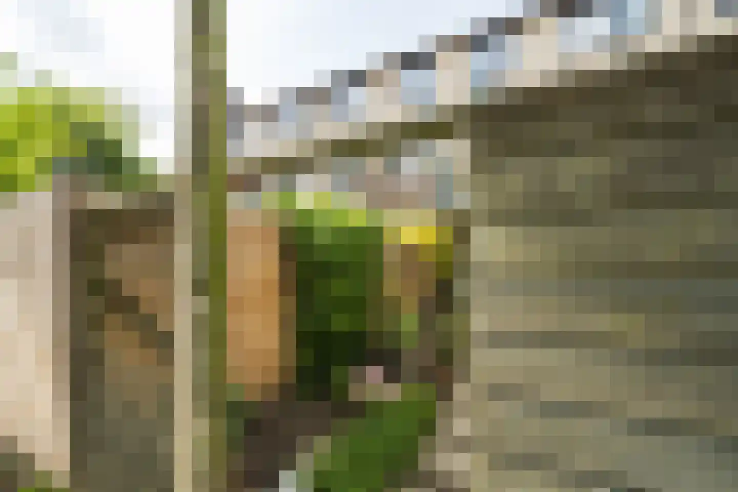 Eduard Verkadelaan 37 Utrecht thumbnail 53