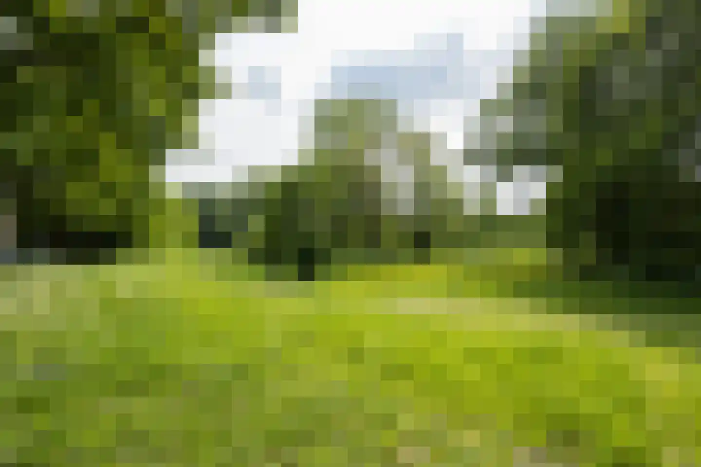 Eduard Verkadelaan 37 Utrecht thumbnail 59