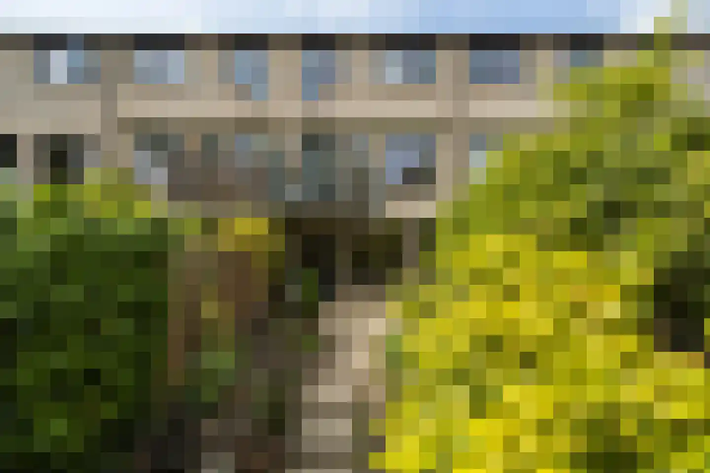 Eduard Verkadelaan 37 Utrecht thumbnail 6