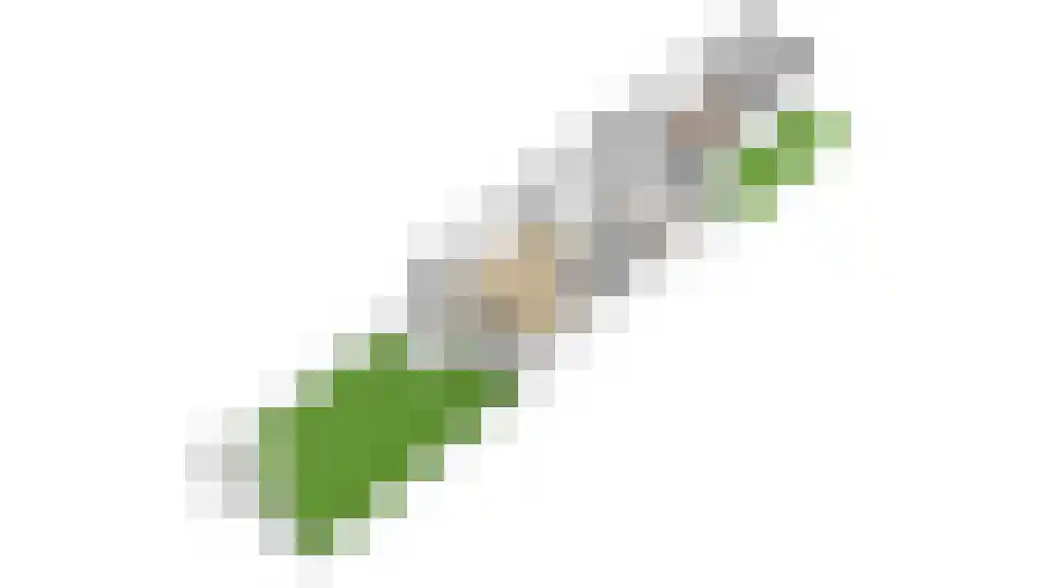 Eduard Verkadelaan 37 Utrecht thumbnail 64
