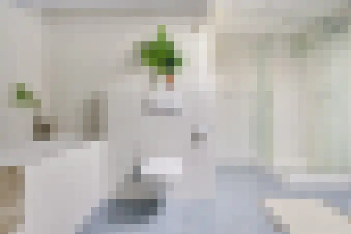 Eduard Verkadelaan 65 Utrecht thumbnail 26