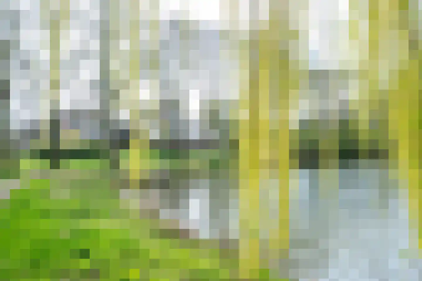 Eduard Verkadelaan 65 Utrecht thumbnail 32