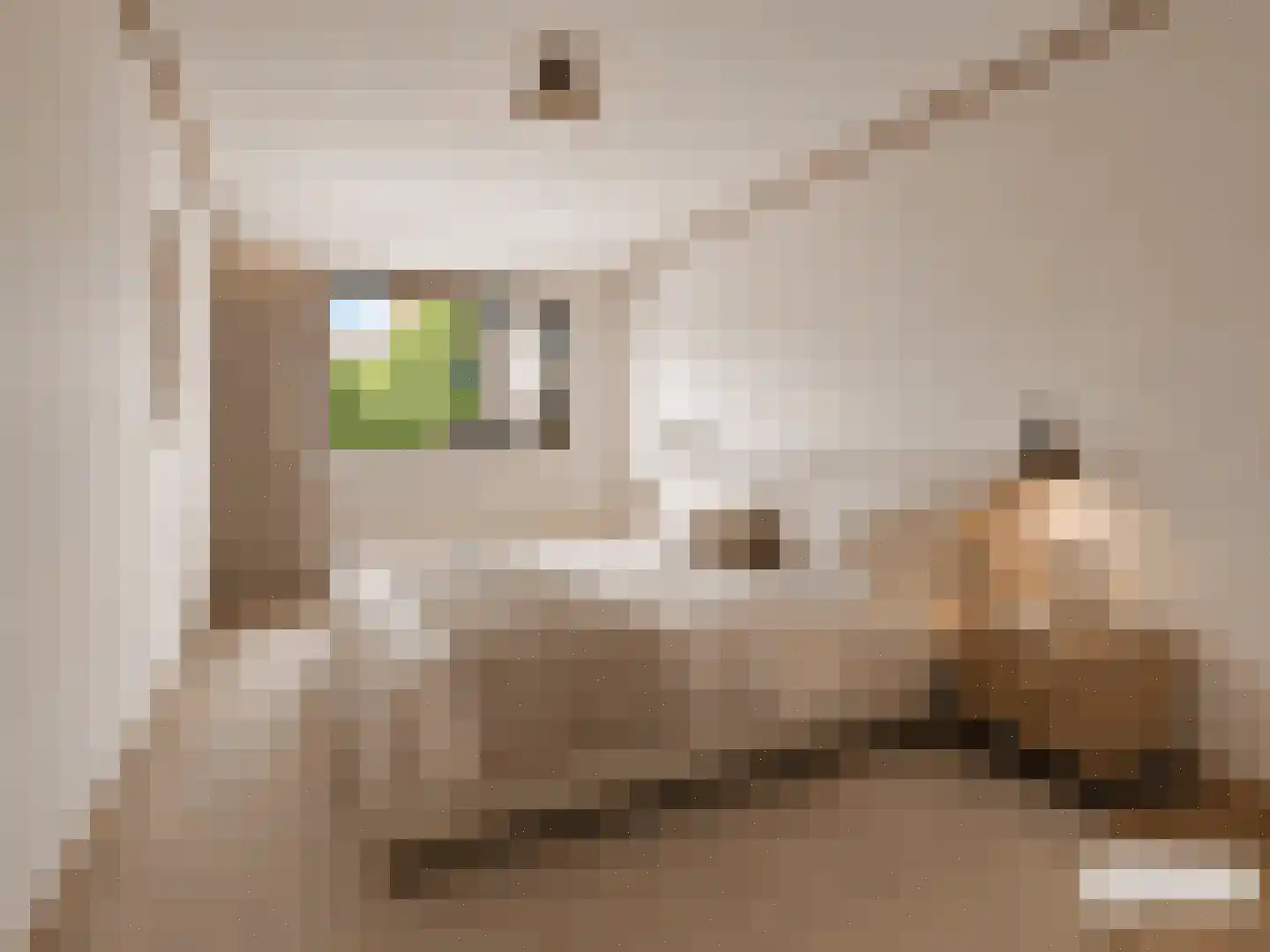 Eduard Verkadelaan 73 Utrecht thumbnail 28
