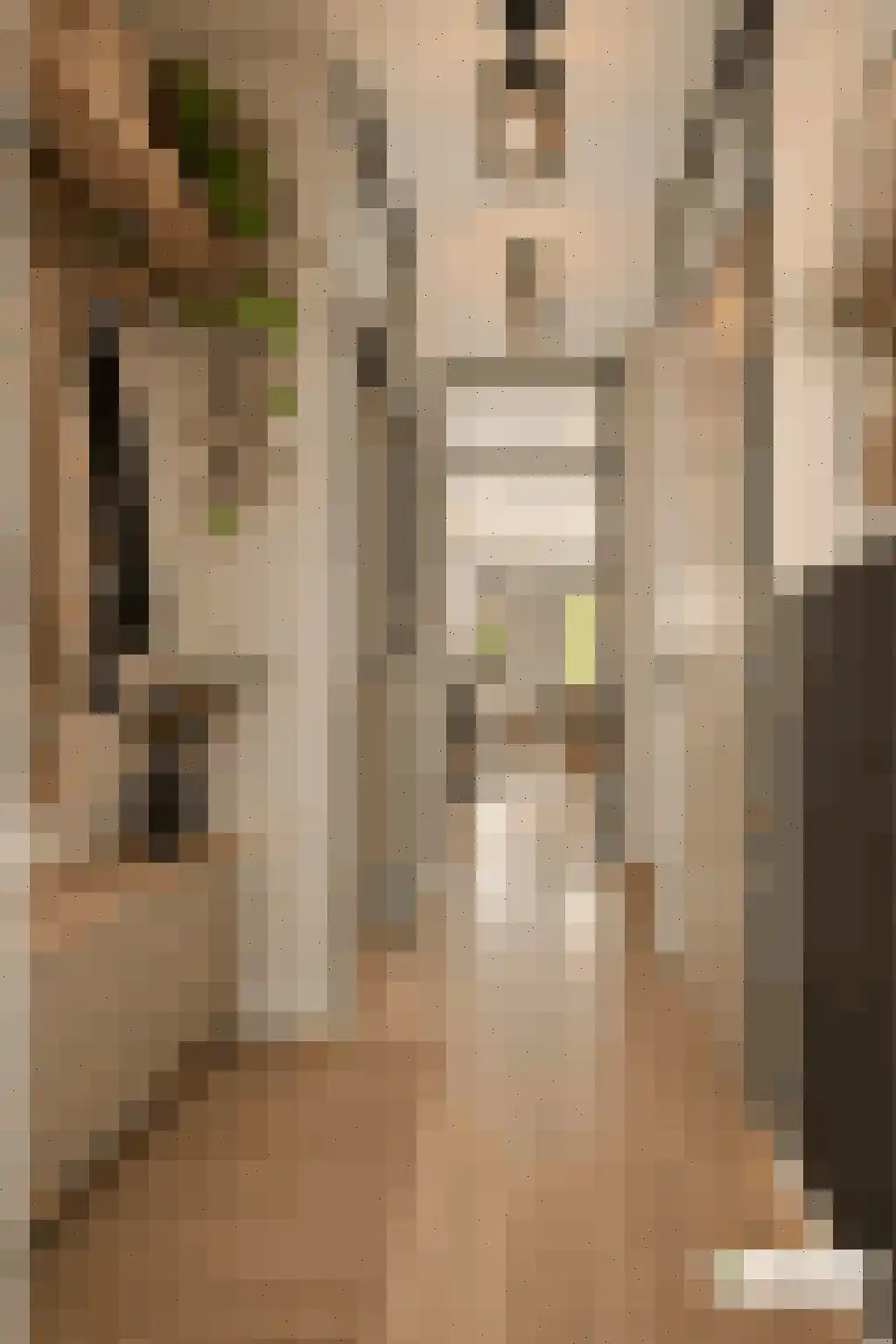 Eduard Verkadelaan 73 Utrecht thumbnail 4