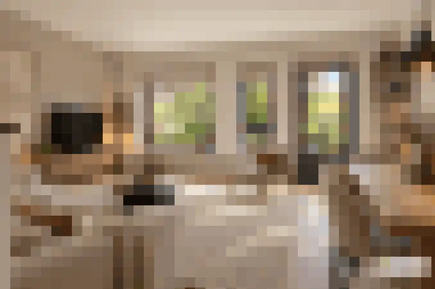 Eduard Verkadelaan 73 Utrecht thumbnail 7