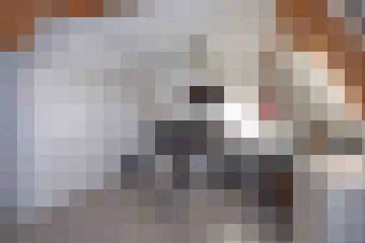 Eduard Verkadestraat 107 Hengelo thumbnail 20