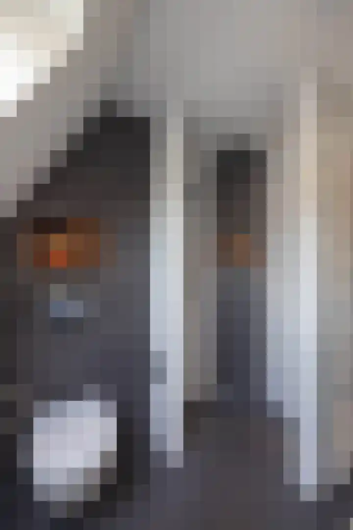 Eduard Verkadestraat 59 Hengelo thumbnail 17