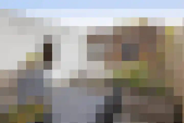 Eduard Verkadestraat 59 Hengelo thumbnail 26