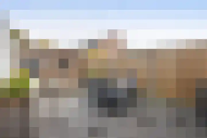 Eduard Verkadestraat 59 Hengelo thumbnail 27