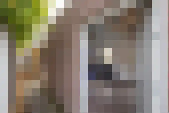 Eduard Verkadestraat 59 Hengelo thumbnail 28