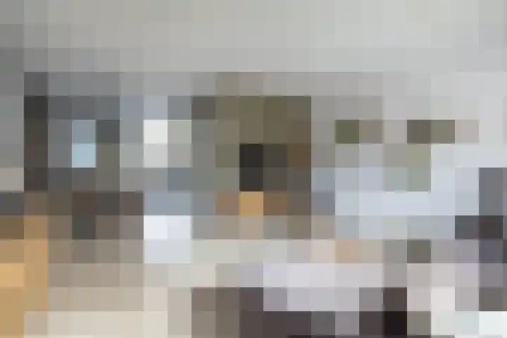 Eduard Verkadestraat 59 Hengelo thumbnail 6