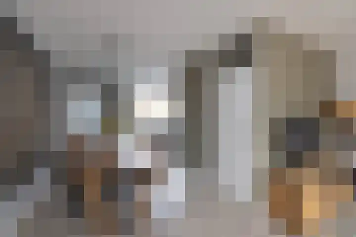 Eduard Verkadestraat 59 Hengelo thumbnail 7