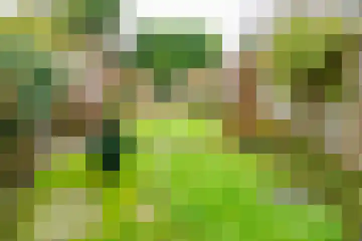 Eduard Verkadestraat 72 Hengelo thumbnail 31