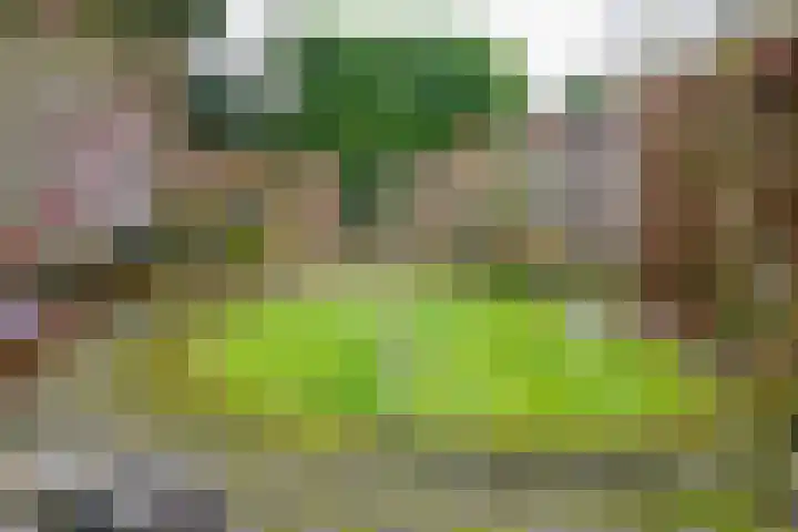 Eduard Verkadestraat 72 Hengelo thumbnail 32