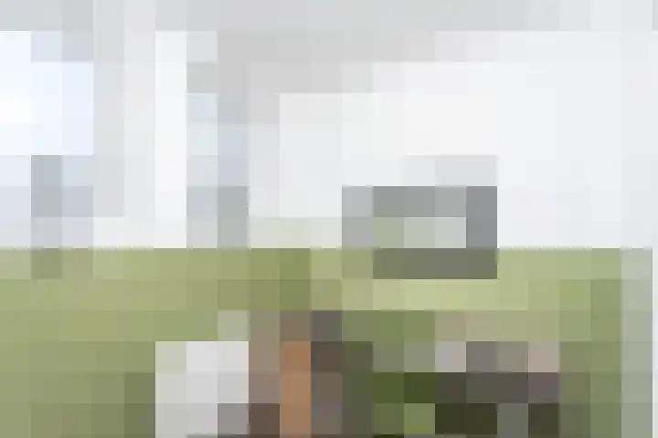 Eduard Wintgensstraat 46 Brunssum thumbnail 18