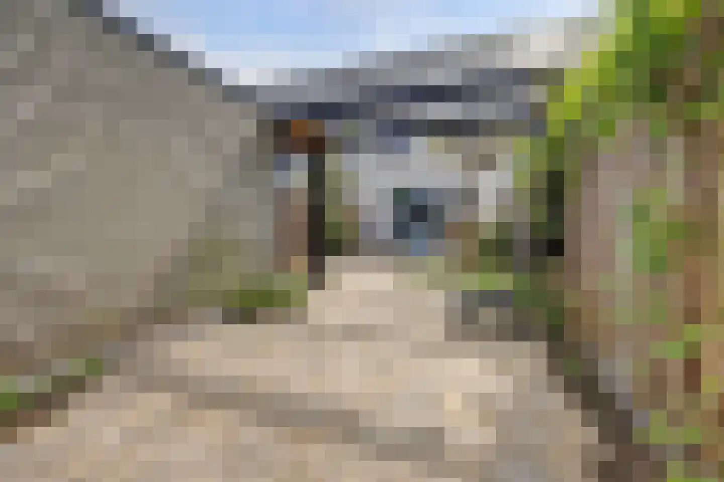 Educalaan 7 B Dronten thumbnail 36