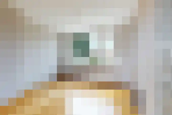 Edvard Griegstraat 11 Fijnaart thumbnail 11