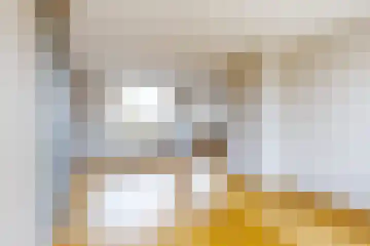 Edvard Griegstraat 11 Fijnaart thumbnail 15