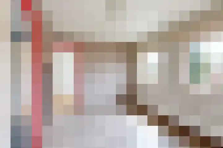 Edvard Griegstraat 11 Fijnaart thumbnail 26