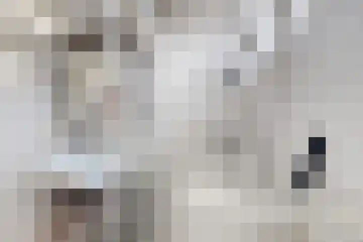 Edvard Griegstraat 11 Fijnaart thumbnail 35