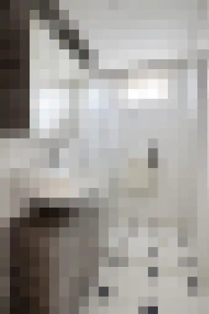 Edvard Griegstraat 11 Fijnaart thumbnail 36