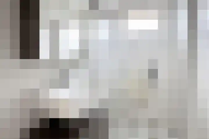Edvard Griegstraat 11 Fijnaart thumbnail 37