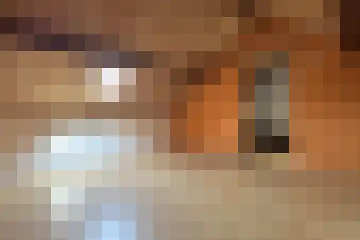 Edvard Griegstraat 11 Fijnaart thumbnail 46