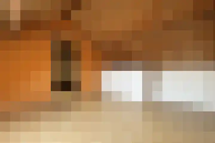 Edvard Griegstraat 11 Fijnaart thumbnail 47